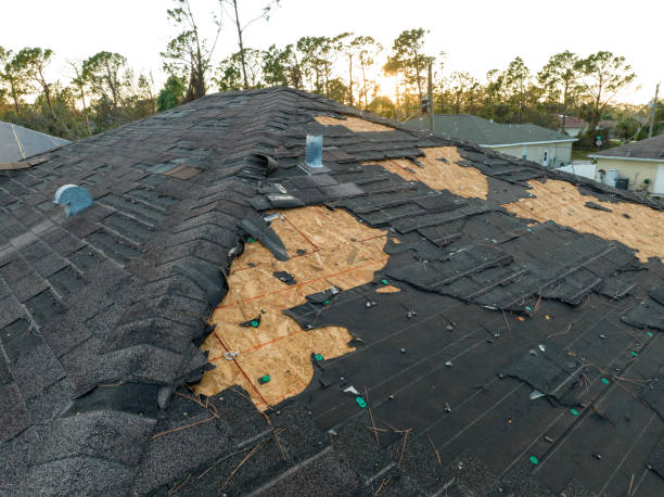 Professional Roofing in Seven Oaks, SC